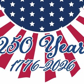 Custom Decor Vinyl Bunting-250 Years - 3166
