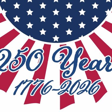 Custom Decor Vinyl Bunting-250 Years - 3166
