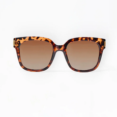 Mary Square Mary Square Polarized Sunglasses-Hannah Black