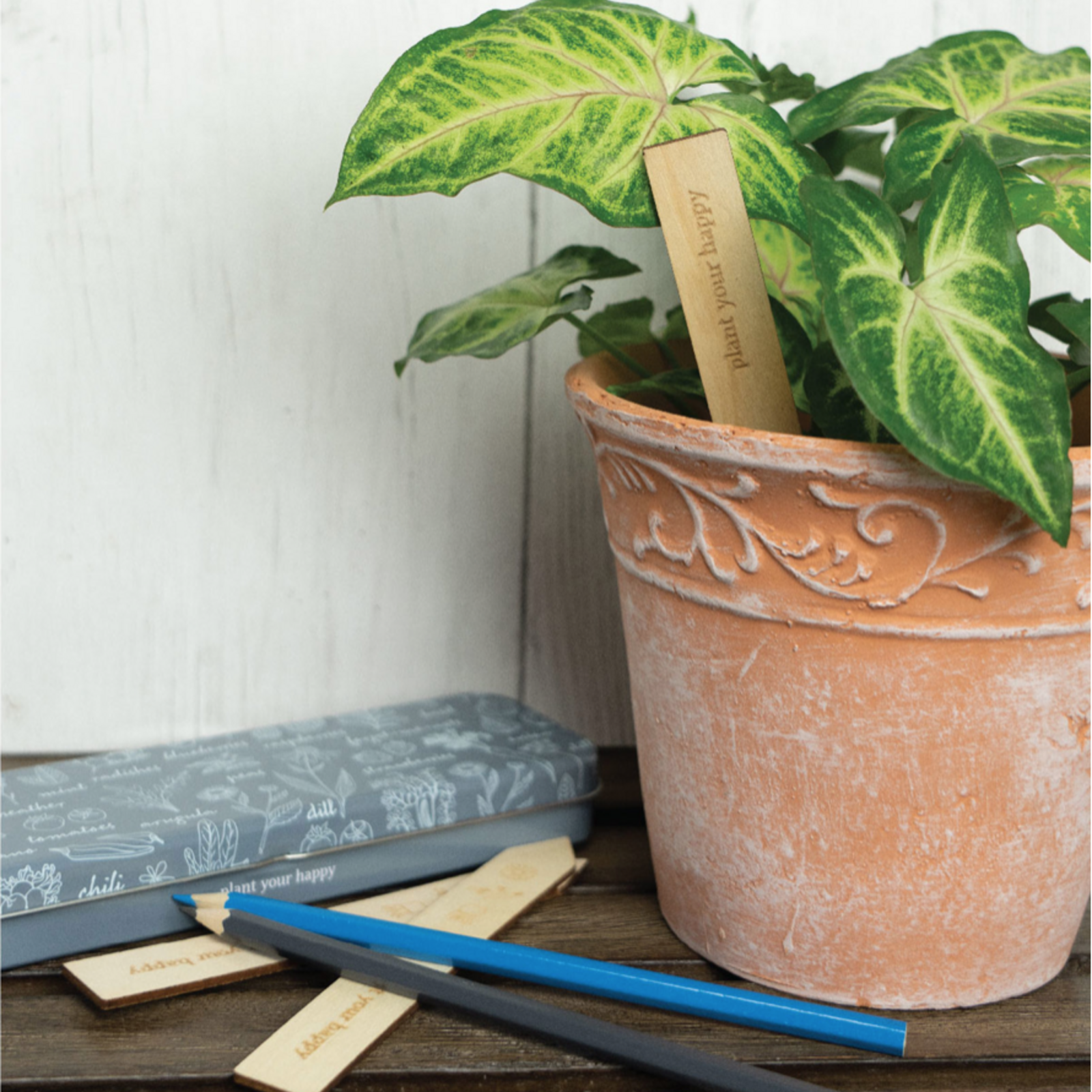 Seed & Sprout Gardening Labeling Set- Seed & Sprout loading=