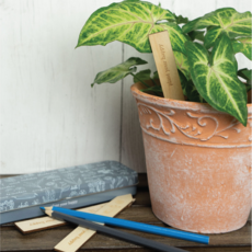 Seed & Sprout Gardening Labeling Set- Seed & Sprout