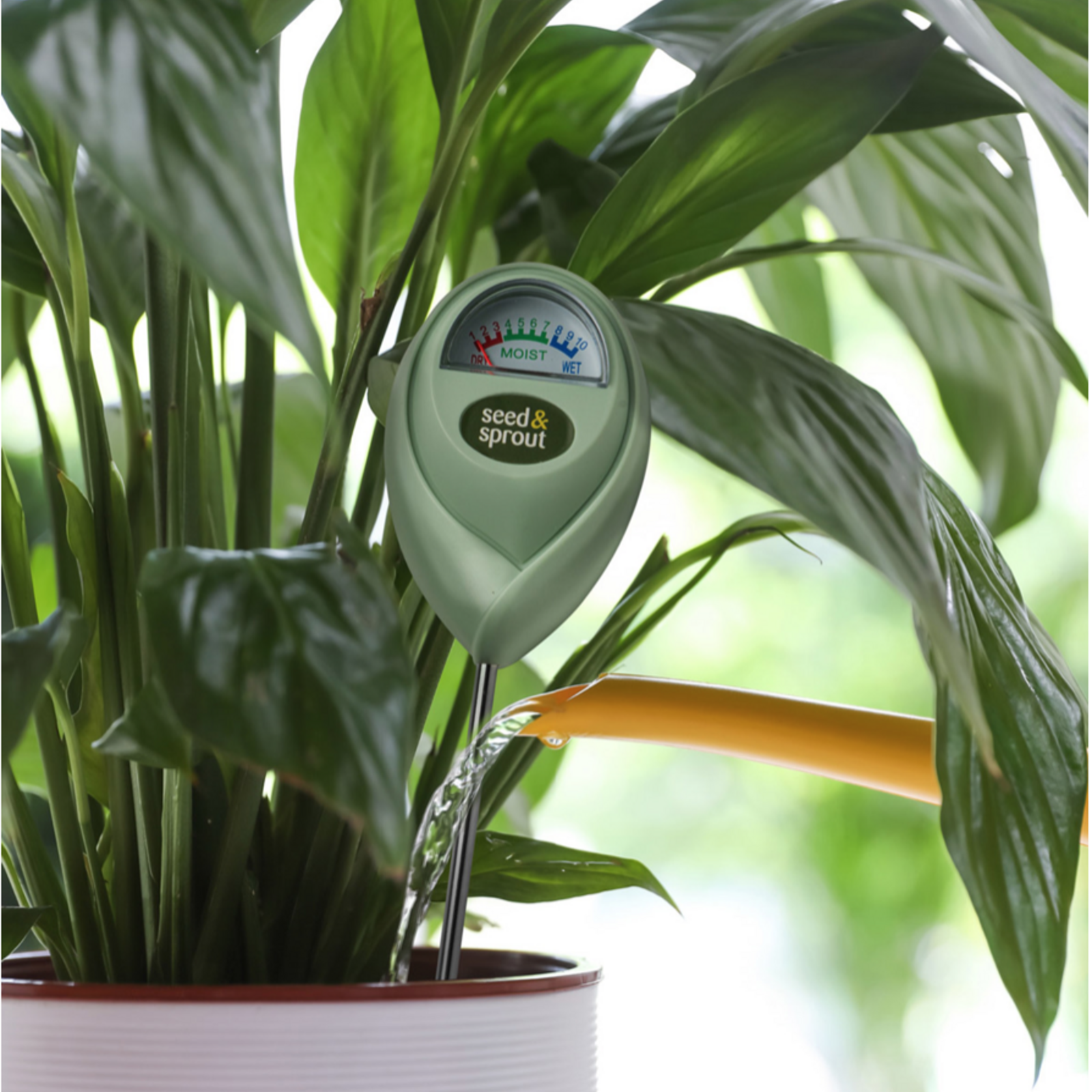 Seed & Sprout Potted Plant Moisture Meter- Seed & Sprout loading=