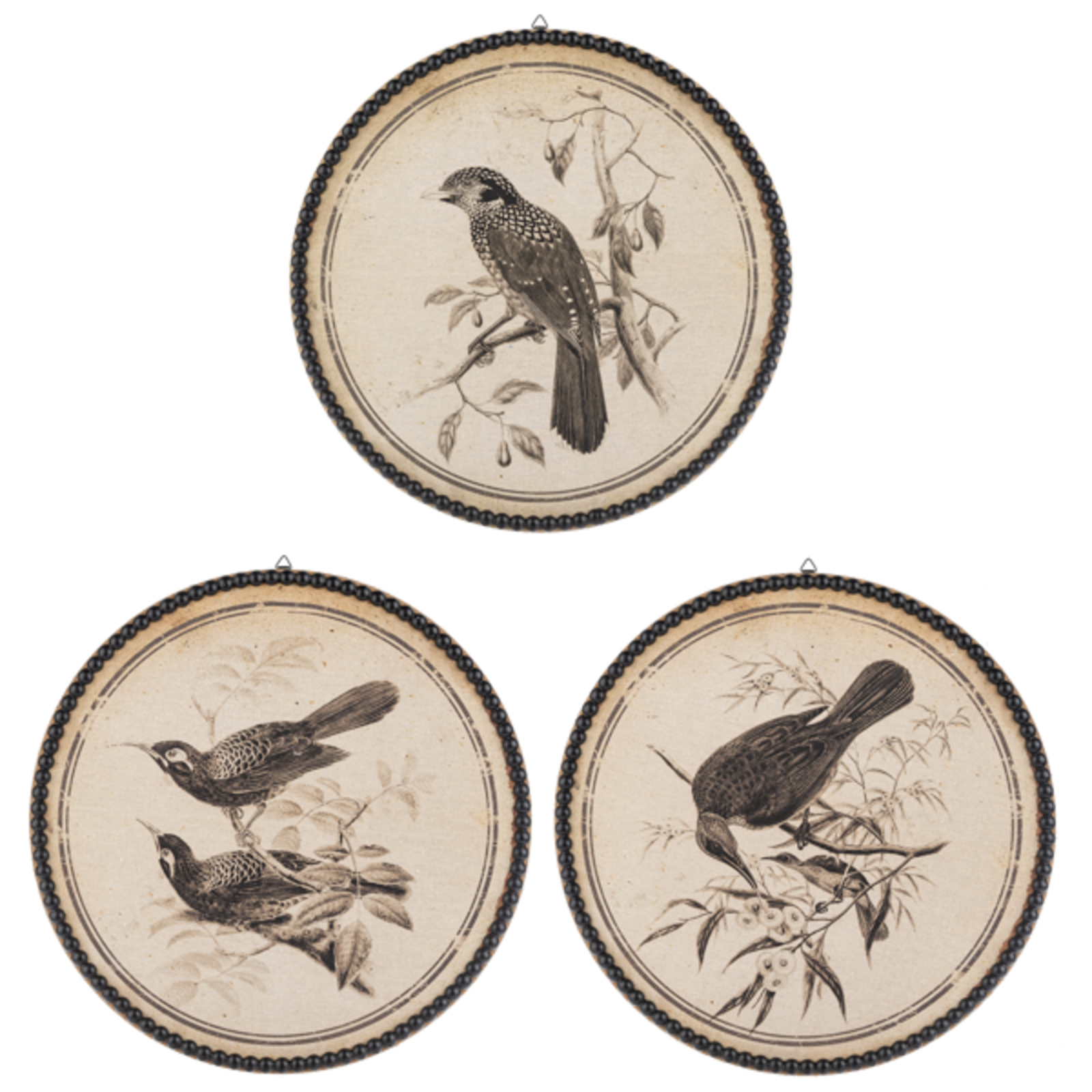 Ganz Round Bird Pen & Ink Wall Decor -CB201770 loading=