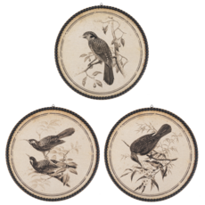 Ganz Round Bird Pen & Ink Wall Decor -CB201770