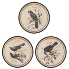 Ganz Round Bird Pen & Ink Wall Decor -CB201770