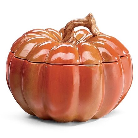 Burton + Burton PICKED LID PUMPKIN SHAPE PLANTER - 9751163