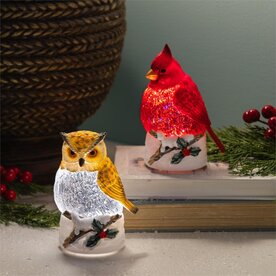 Evergreen Enterprises Snowbirds LED Table Décor Owl and Cardinal Waterglobe (1) LT89D8TAL