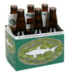 Dogfish Head DOGFISH HEAD 60 MINUTE IPA 6PK