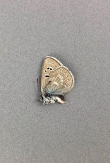 Plebejus icariodes M A1 Canada