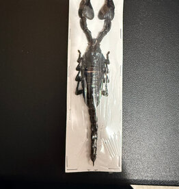 Heterometreus cyaneus Java, Indonesia