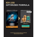 Purina Purina Pro Plan Puppy Focus Chicken & Rice Dog Kibble