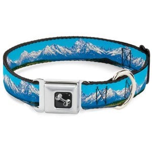 Buckle Down Buckle Down Snowy Mountains Collar