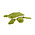 Fluff n Tuff Fluff n Tuff Esmeralda Turtle