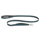 Ruffwear Ruffwear Front Range Leash Tumalo Teal