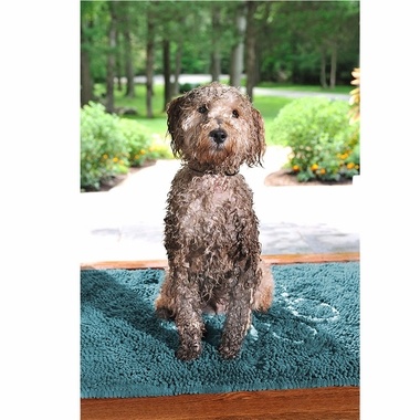 Dirty Dog Doormats Grey - Teton Tails