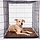Dog Gone Smart Dirty Dog Doormats Brown