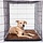 Dog Gone Smart Dirty Dog Doormats Brown