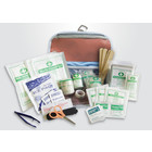 Kurgo Kurgo First Aid Kit