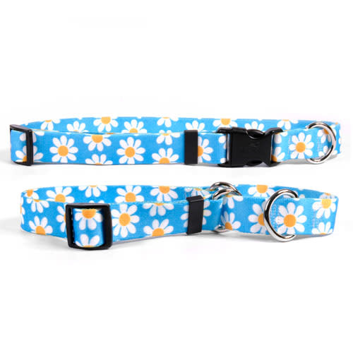 Daisy cat collar Clearance
