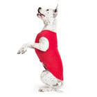 Gold Paw Gold Paw Single Layer Fleece Red