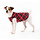 Gold Paw Gold Paw Single Layer Fleece Red Plaid