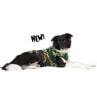 Gold Paw Gold Paw Single Layer Fleece Camo