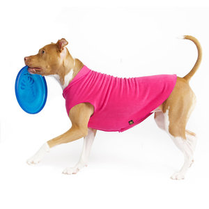 Gold Paw Gold Paw Single Layer Fleece Hot Pink