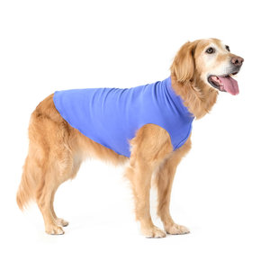 Gold Paw Gold Paw Single Layer Fleece Cornflower Blue