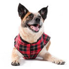 Gold Paw Gold Paw Double Fleece Red Black Plaid