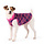 Gold Paw Gold Paw Double Fleece Mulberry Plaid Fuchsia