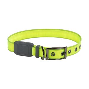 Nite Ize NiteDog Rechargeable LED Collar