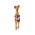 Henrietta Chicken Small