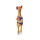 Henrietta Chicken Small