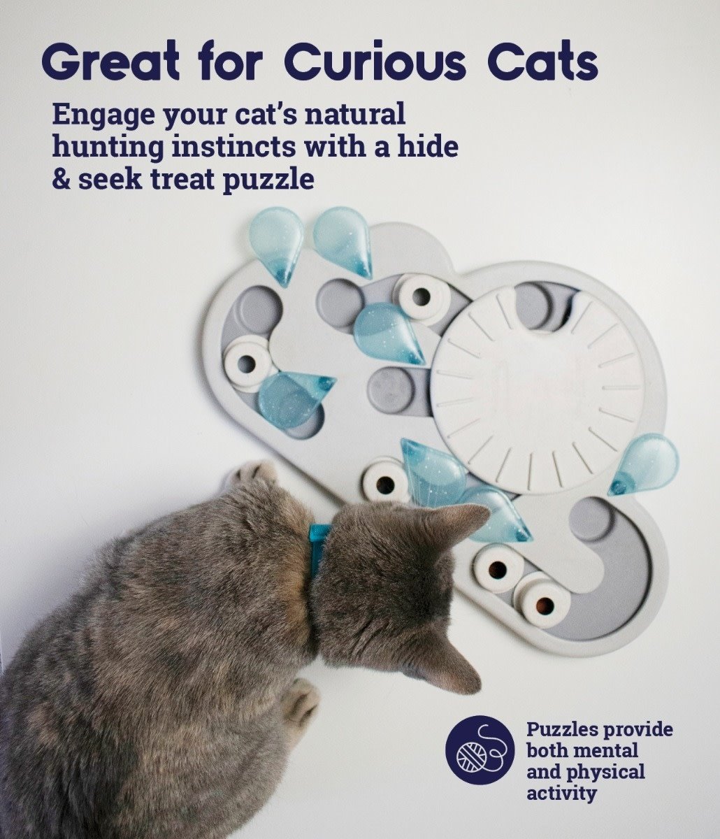 Food puzzles for cats: Feeding for physical and emotional