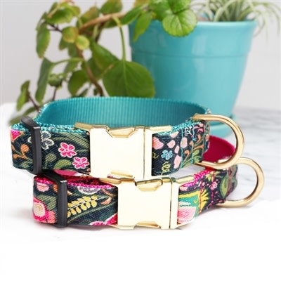 mimi green collars