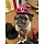 Poshpups Dog Cowboy Hats handmade