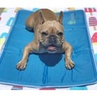 Cool Pet Pad