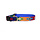 Auburn A Tail We Could Wag God's Eye Gold Collar
