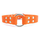 Auburn Sparky's Center Ring Collar Orange