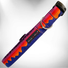 Walk-E-Woo Mountain Ombre Collars Leads