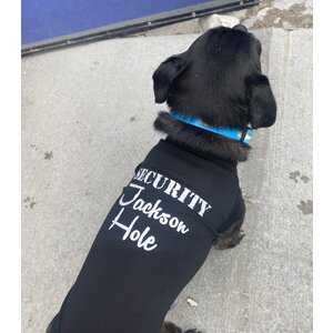 Mirage Pet Products Mirage Security Jackson Hole Dog T-shirt