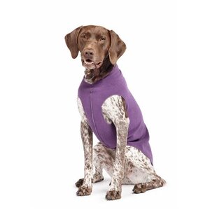 Gold Paw Gold Paw Single Layer Fleece Huckleberry