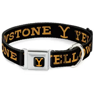 Buckle Down Yellowstone Y Collar Black w orange logo