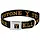Buckle Down Yellowstone Y Collar Black w orange logo