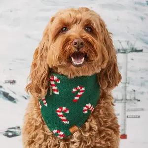 Candy Cane Knit Bandana