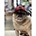 PupLid Camper Hat  red plaid