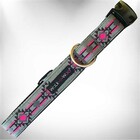 Walk-E-Woo Pow Wow  Pink Collars Leads