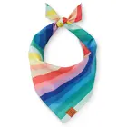 Over the Rainbow Foggy Dog