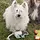 Speckle and Spot Ore Rope Toys