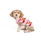 Chilly Dog Sweater Puppy Love